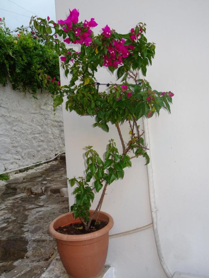 Vila Fotis House Koróni Exteriér fotografie